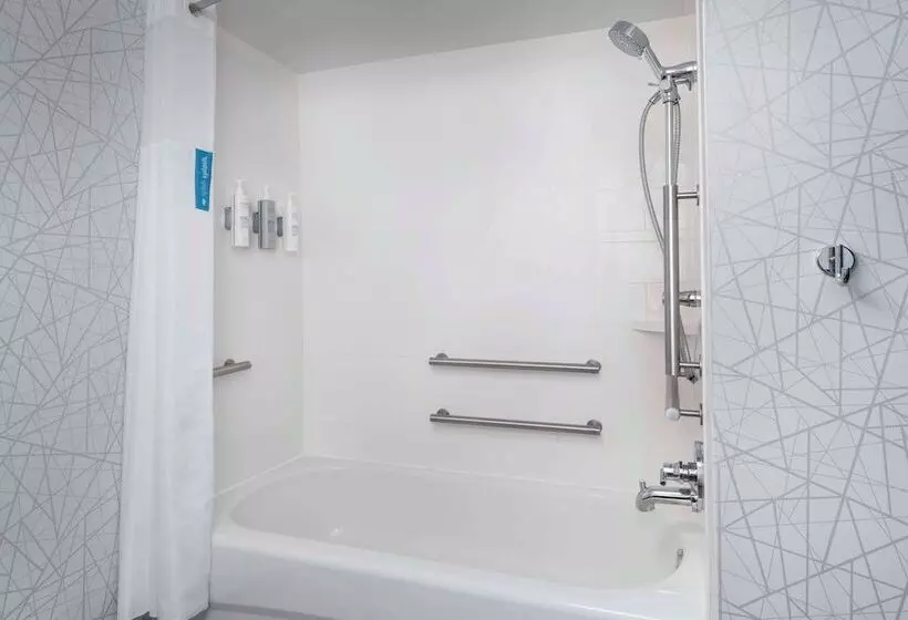 身障者適用スタンダードルーム, Hampton Inn & Suites Lake Mary At Colonial Townpark