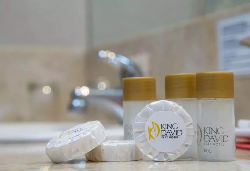 اتاق سوپریور, King David Flat Hotel   Argentina