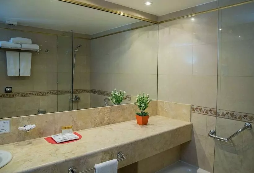 اتاق سوپریور یک تخته, King David Flat Hotel   Argentina