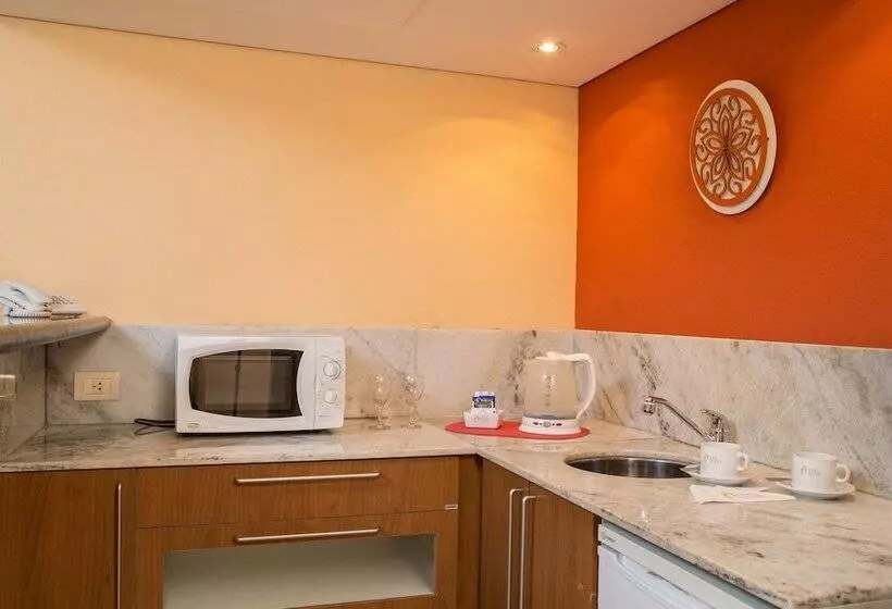 اتاق سوپریور یک تخته, King David Flat Hotel   Argentina