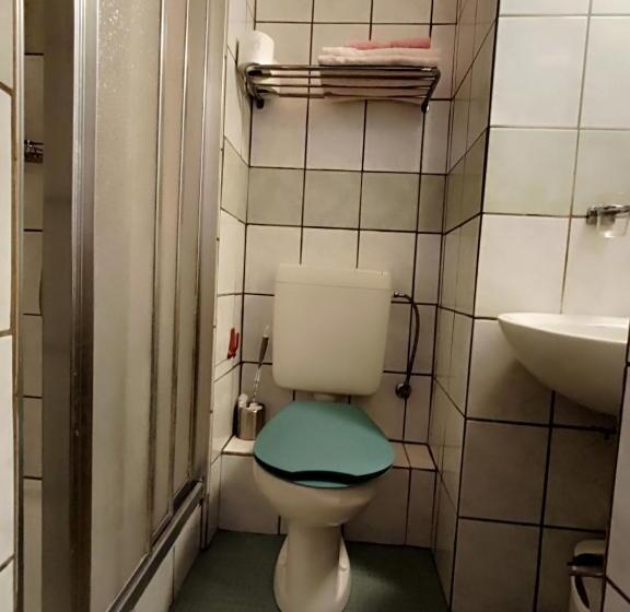 חדר סטנדרט יחיד, Maison D Hôtes De La Gare