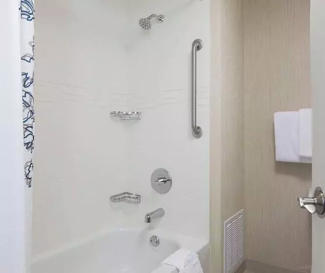 Sviitti 2 Makuuhuonetta, Residence Inn Minneapolis Downtown/city Center