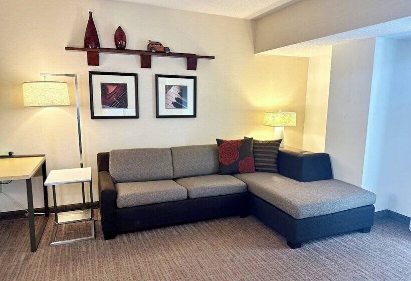 جناح غرفتين نوم, Residence Inn Minneapolis Downtown/city Center
