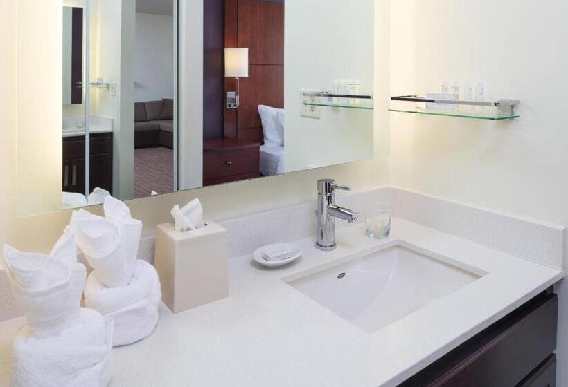 Студия Deluxe, Residence Inn Minneapolis Downtown/city Center