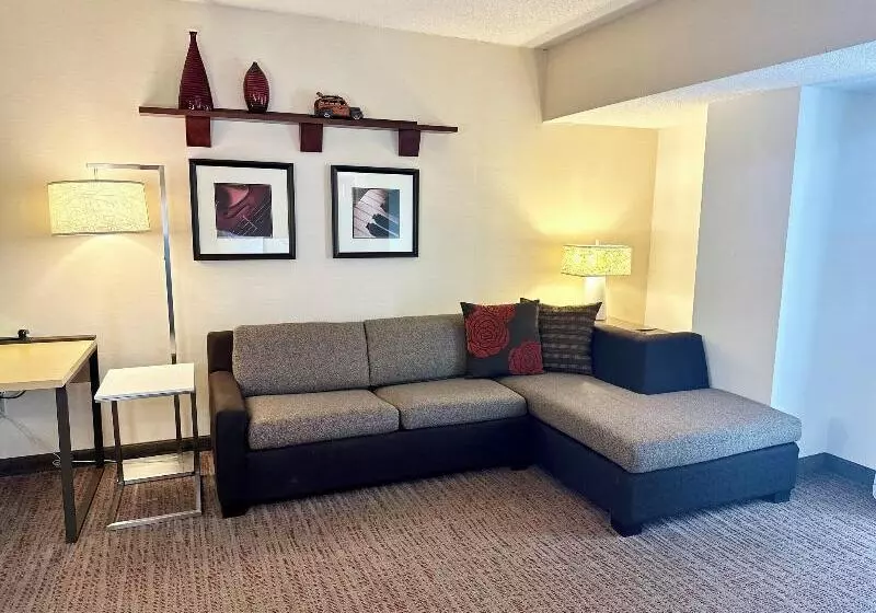 Sviitti King-vuode, Residence Inn Minneapolis Downtown/city Center