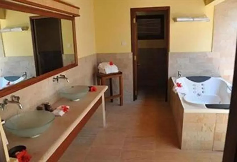 ویلای 1 خوابه با باغ, Cerf Island Resort