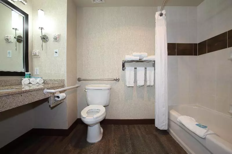 キングサイズベッドのスタンダードルーム, Holiday Inn Express Hotel & Suites Vernon, An Ihg