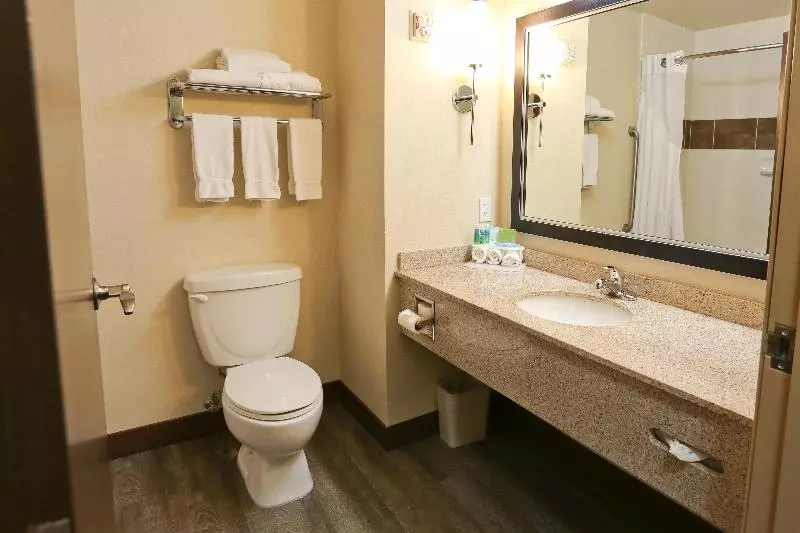 キングサイズベッドのスタンダードルーム, Holiday Inn Express Hotel & Suites Vernon, An Ihg