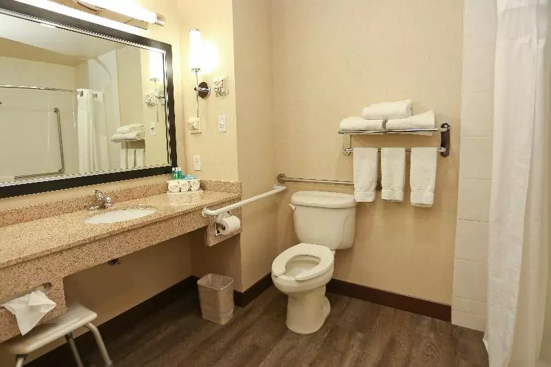 身障者適用キングサイズベッドルーム, Holiday Inn Express Hotel & Suites Vernon, An Ihg
