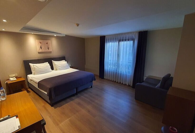 اتاق استاندارد, Asur