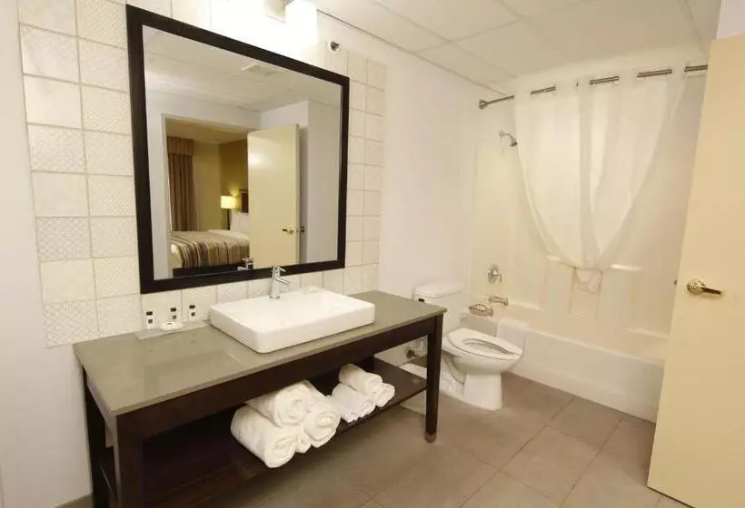 キングサイズベッドのスタンダードルーム, Country Inn & Suites By Radisson, Crystal Lake, Il