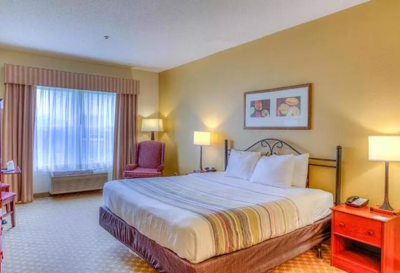 キングサイズベッドのスタンダードルーム, Country Inn & Suites By Radisson, Crystal Lake, Il