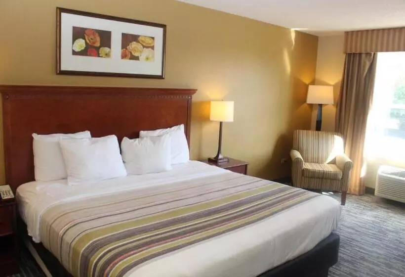 キングサイズベッドのスタンダードルーム, Country Inn & Suites By Radisson, Crystal Lake, Il