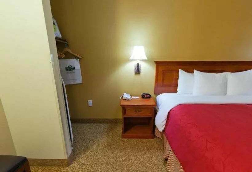 キングサイズベッドのスタンダードルーム, Country Inn & Suites By Radisson, Goldsboro, Nc