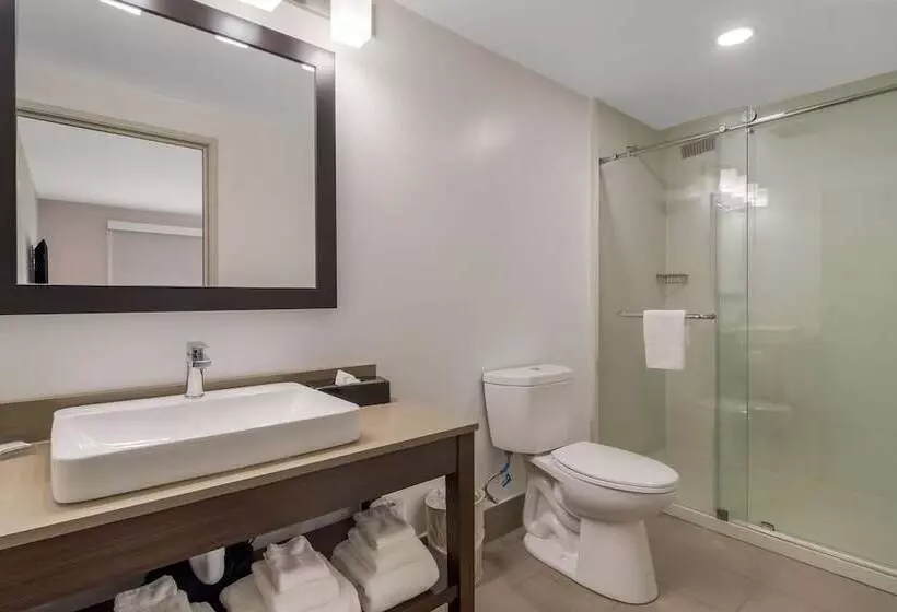 スイート, Country Inn & Suites By Radisson, Goldsboro, Nc