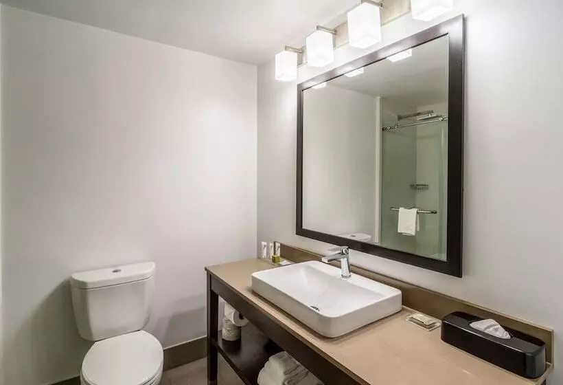 スイート, Country Inn & Suites By Radisson, Goldsboro, Nc