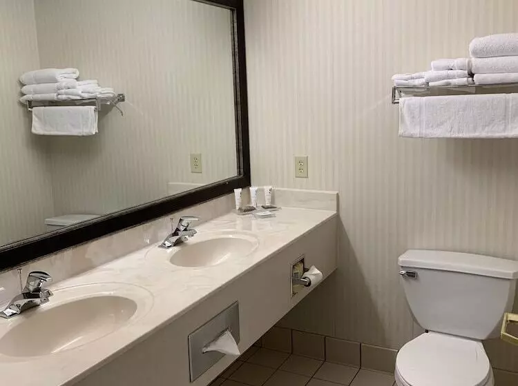 سوئیت برای معلولان, Country Inn & Suites By Radisson, Lancaster Amish Country , Pa