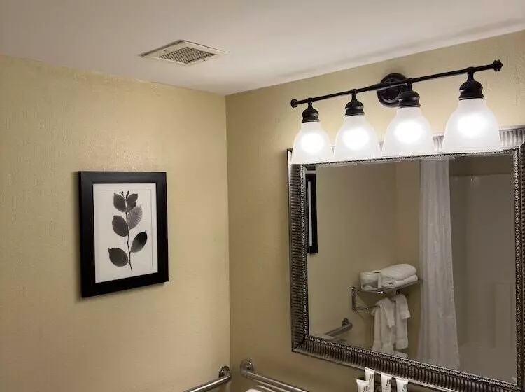 スイート, Country Inn & Suites By Radisson, Macedonia, Oh