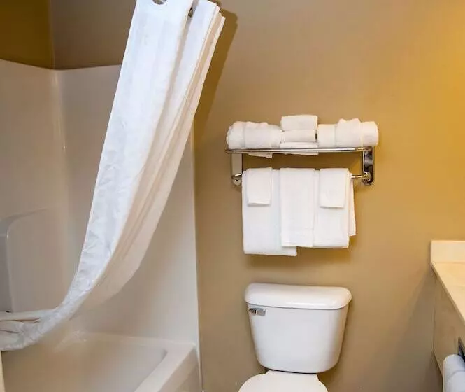 سوئیت برای معلولان, Country Inn & Suites By Radisson, Milwaukee Airport, Wi