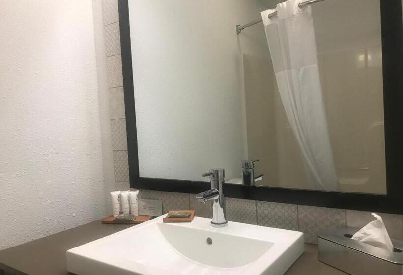 适合残疾人士使用的套间, Country Inn & Suites By Radisson, Milwaukee Airport, Wi