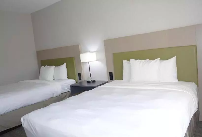 スタンダードルーム, Country Inn & Suites By Radisson, Round Rock, Tx