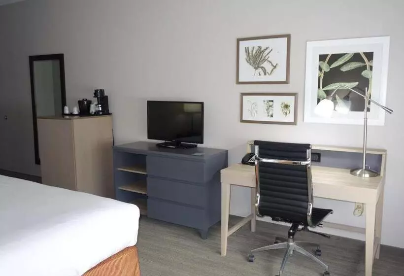 キングサイズベッドのスタンダードルーム, Country Inn & Suites By Radisson, Round Rock, Tx