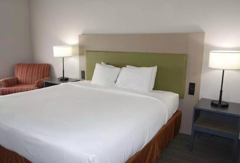 キングサイズベッドのスタンダードルーム, Country Inn & Suites By Radisson, Round Rock, Tx