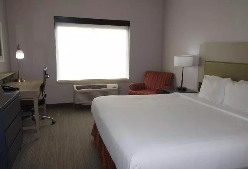 キングサイズベッドのスタンダードルーム, Country Inn & Suites By Radisson, Round Rock, Tx