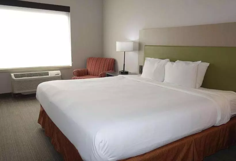 キングサイズベッドのスタンダードルーム, Country Inn & Suites By Radisson, Round Rock, Tx