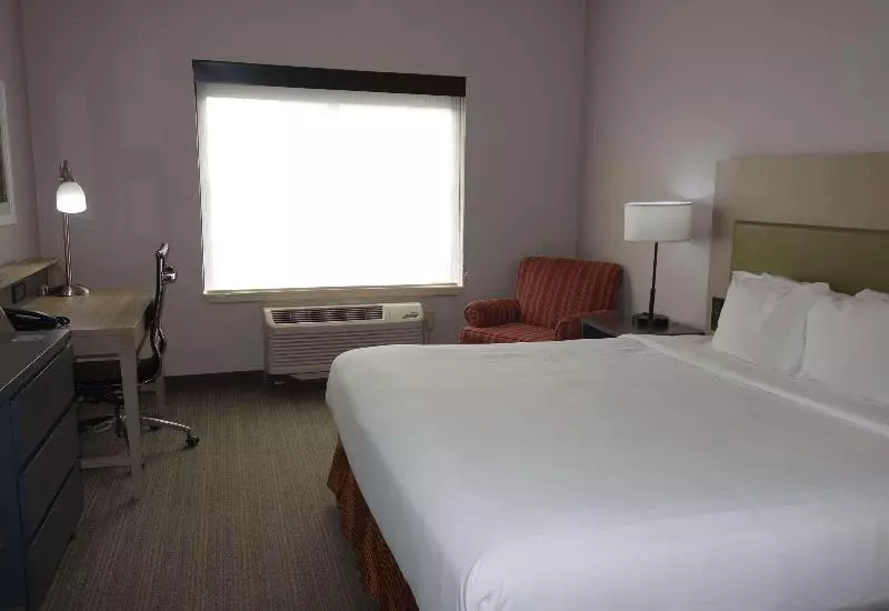 キングサイズベッドのスイートルーム, Country Inn & Suites By Radisson, Round Rock, Tx