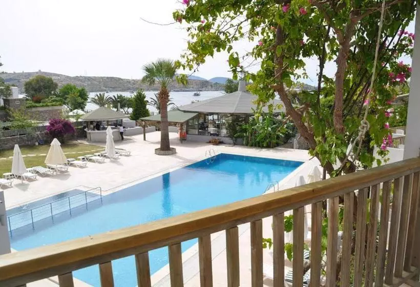اتاق خانوادگی با سرویس بهداشتی مشترک, Gumbet Cove