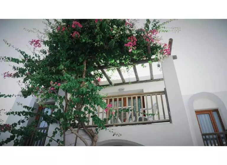 اتاق خانوادگی با سرویس بهداشتی مشترک, Gumbet Cove