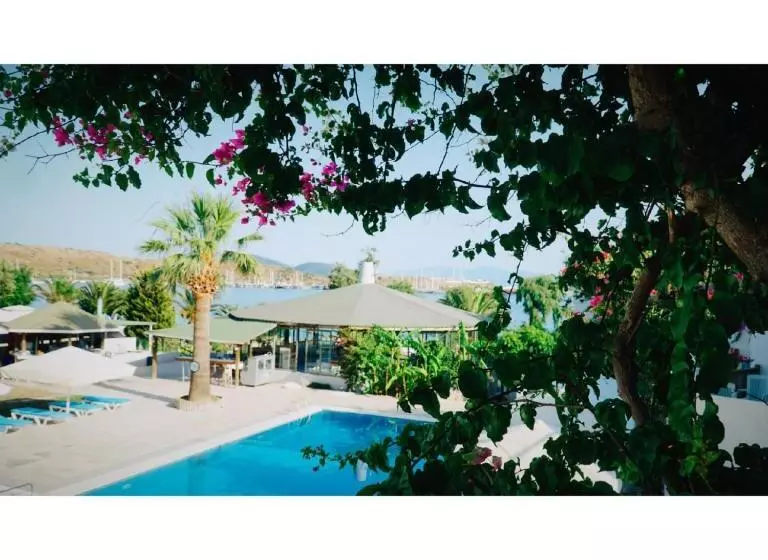 اتاق خانوادگی با سرویس بهداشتی مشترک, Gumbet Cove