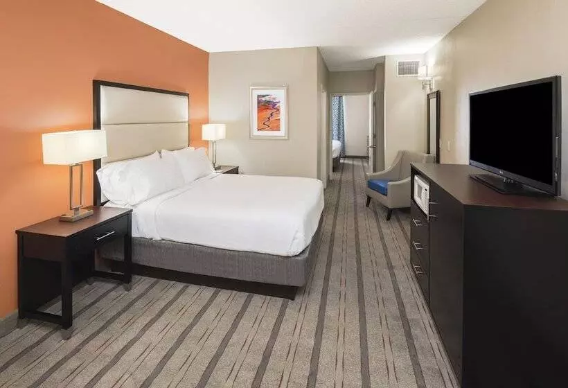スタンダードルーム, Holiday Inn Express & Suites Atlanta Ne  Duluth, An Ihg