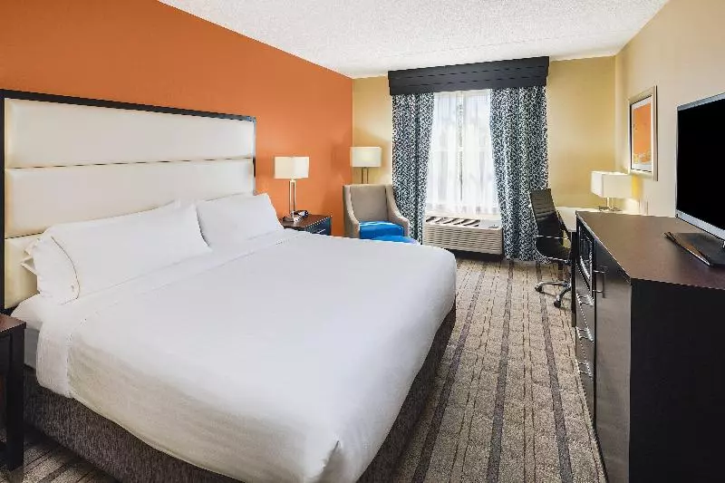 キングサイズベッドのスタンダードルーム, Holiday Inn Express & Suites Atlanta Ne  Duluth, An Ihg