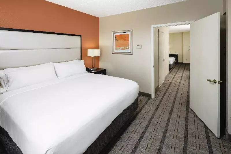 デラックススイート, Holiday Inn Express & Suites Atlanta Ne  Duluth, An Ihg