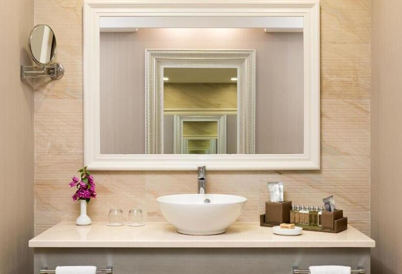 디럭스 전망 룸, Tui Magic Life Rixos Beldibi - Adult Only