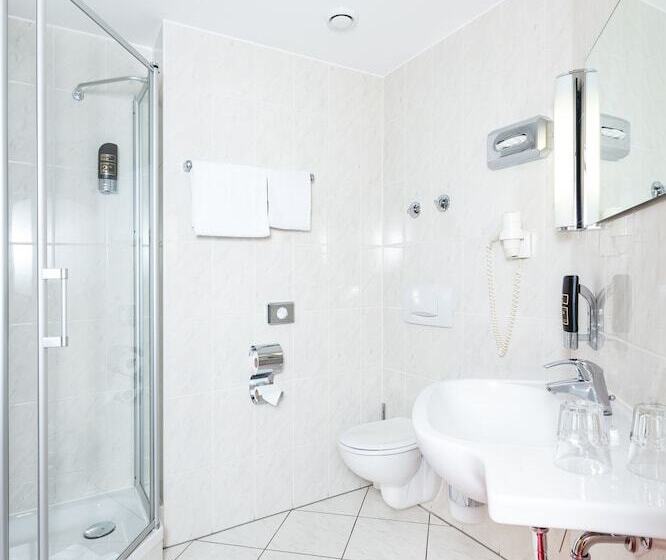 스탠다드 룸, Servatius