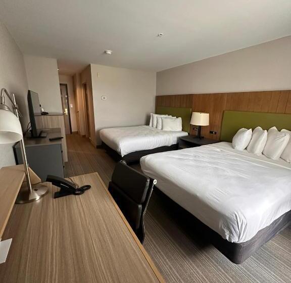 غرفة قياسية, Summerville Park Inn