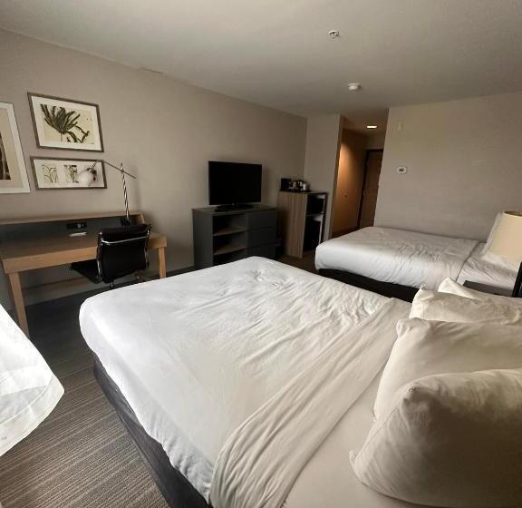 غرفة قياسية, Summerville Park Inn