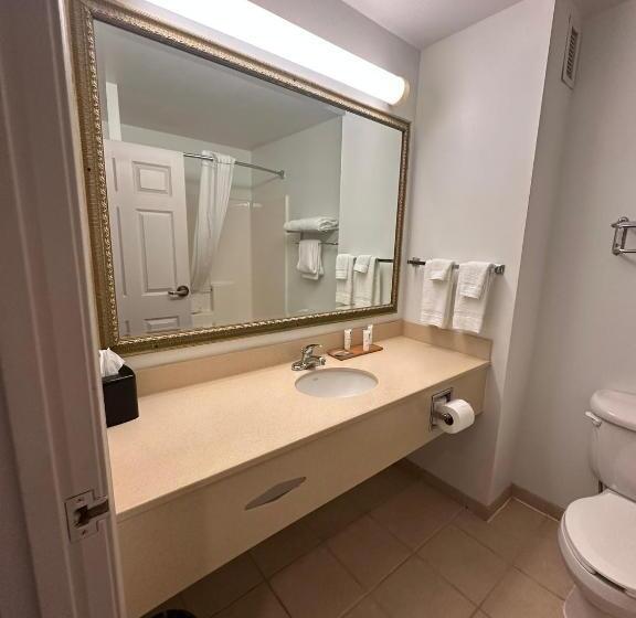 جناح سرير كينج, Summerville Park Inn