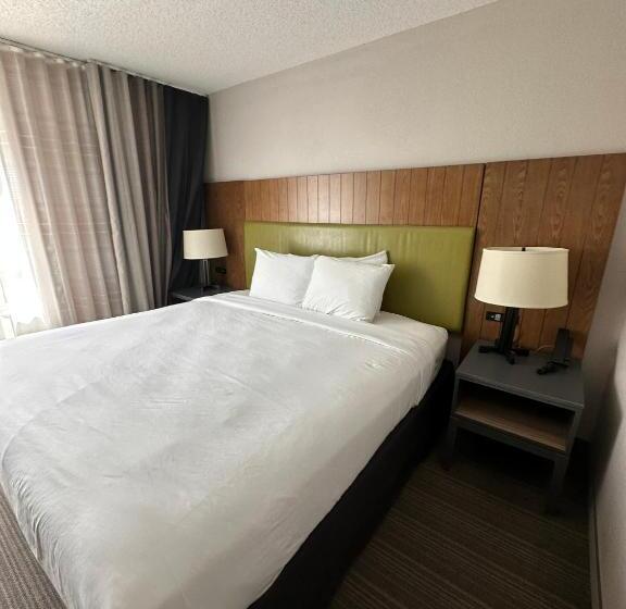 جناح سرير كينج, Summerville Park Inn