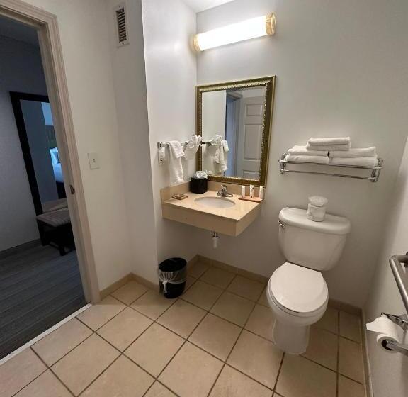 غرفة قياسية لذوى الاحتياجات الخاصة, Summerville Park Inn