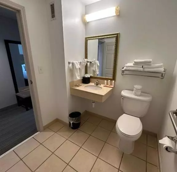身障者適用スタンダードルーム, Summerville Park Inn
