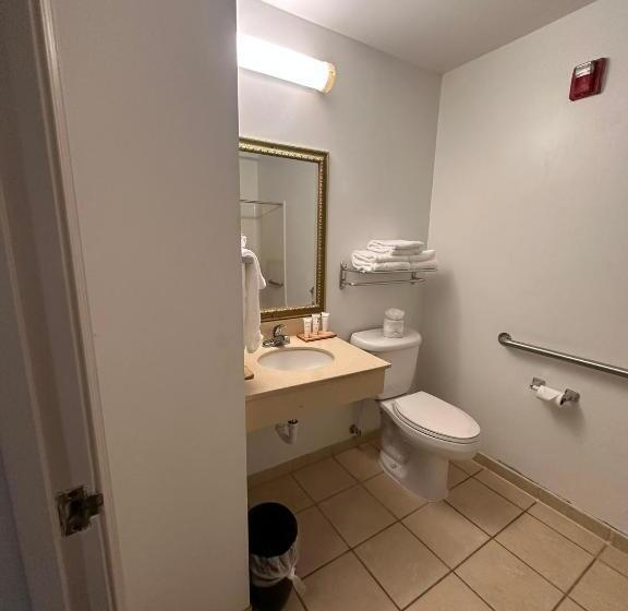 장애인을 위한 스탠다드 룸, Summerville Park Inn