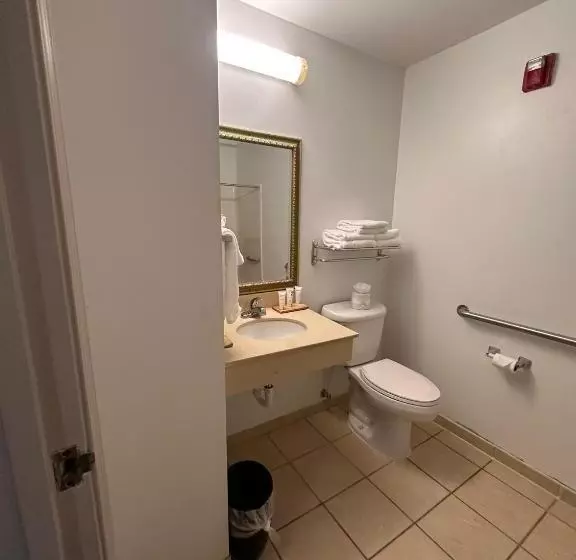 身障者適用スタンダードルーム, Summerville Park Inn