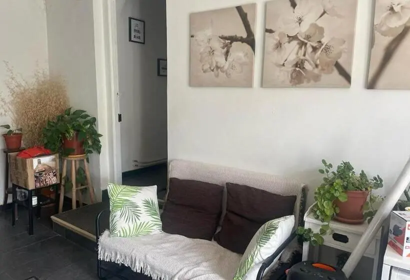 スタンダードシングルルーム, Las Hadas Albergue Solo Para Peregrinos Vegano Bar