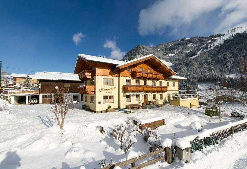 اتاق استاندارد با بالکن, Haarlehenhof