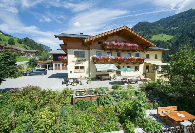 اتاق استاندارد با بالکن, Haarlehenhof