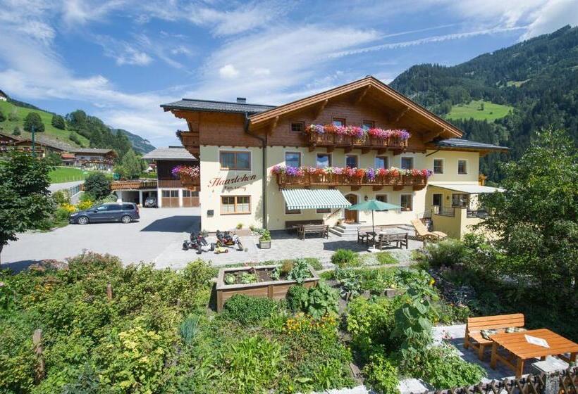 آپارتمان 1 خوابه با بالکن, Haarlehenhof